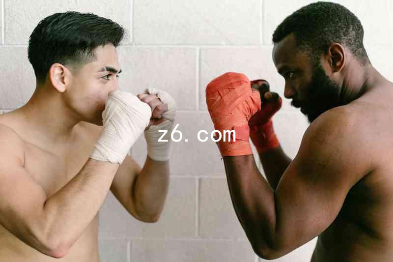 z6.com