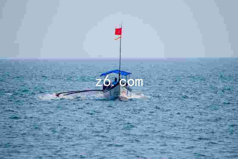 z6.com